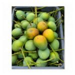 Himsagar Mango-10 kg - Image 2